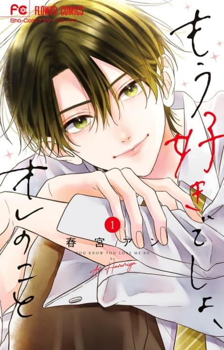 Mou Suki Deshou, Ore no Koto